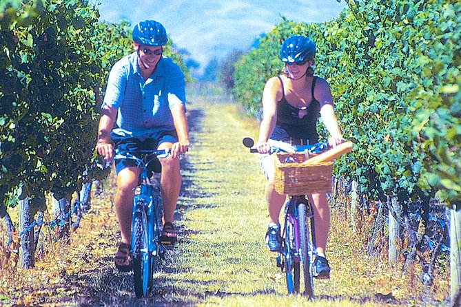 Hawkes Bay Wineries Self-Guided Bike Tour - Key things I’d notice before you book