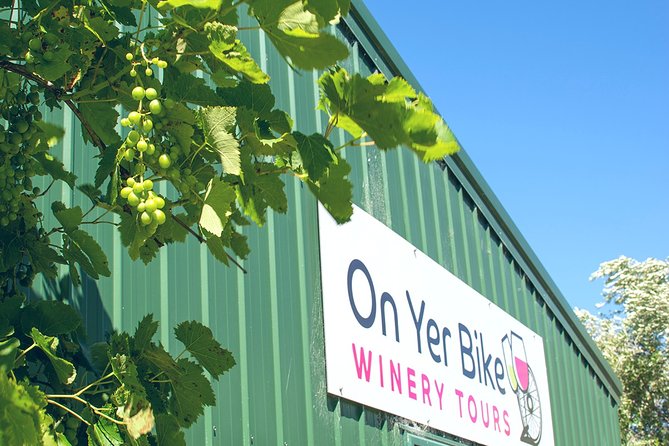 Hawkes Bay Wineries Self-Guided Bike Tour - The bike-riding reality check: who this fits best