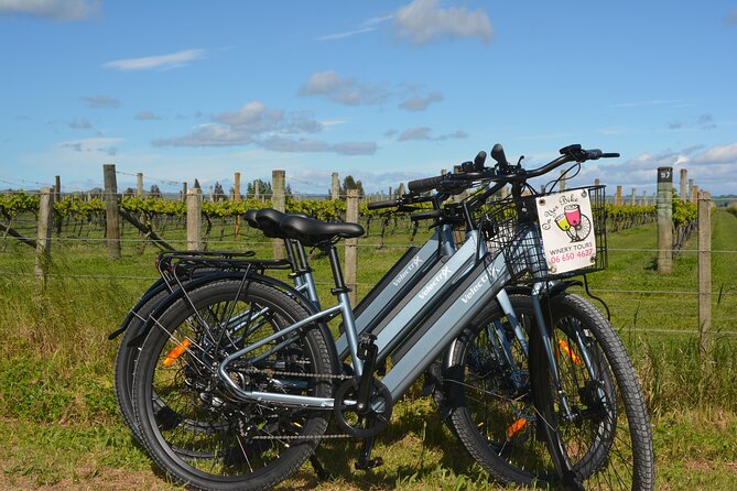 Hawkes Bay Wineries Self-Guided Electric Bike Tour - Quick hits you’ll care about