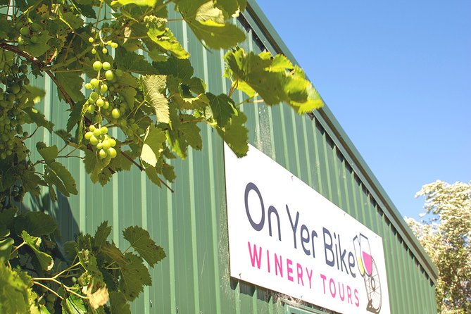 Hawkes Bay Wineries Self-Guided Electric Bike Tour - Hitting the Flats: Why Hawke’s Bay Works for E-Bikes