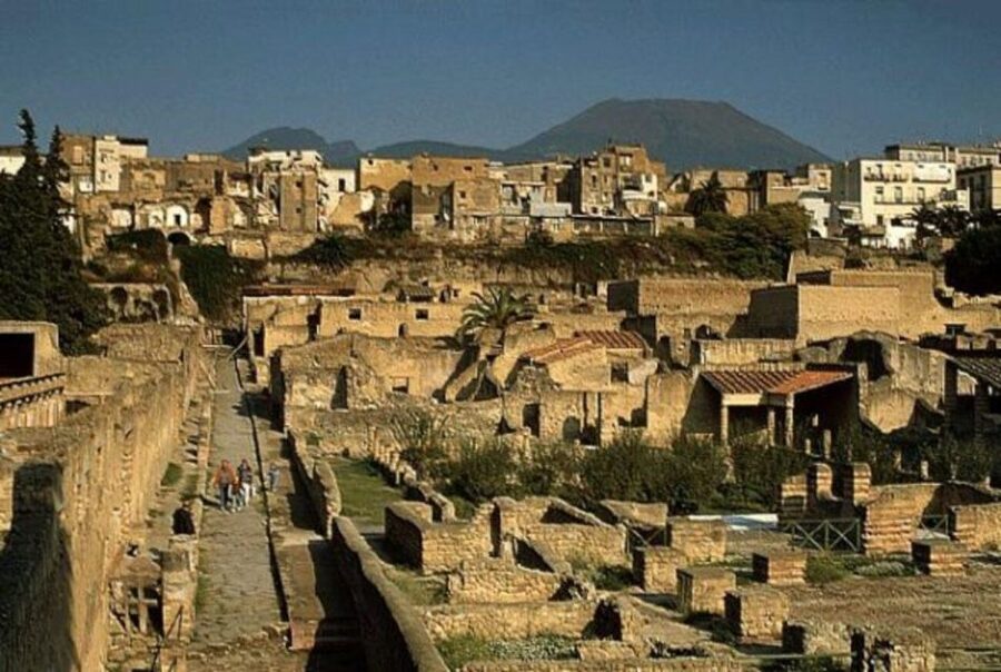Herculaneum: Skip The Line Entrance ticket + Audioguide - Should you book this Herculaneum Skip-the-Line ticket + audio guide?