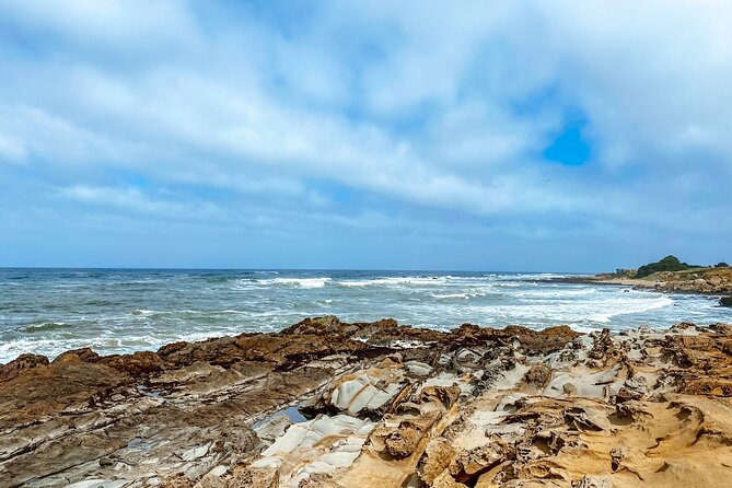 Highway 1 Pacific Coast Highway Self-Guided Driving Tour Bundle - Santa Cruz and Monterey: food towns with big ocean stories