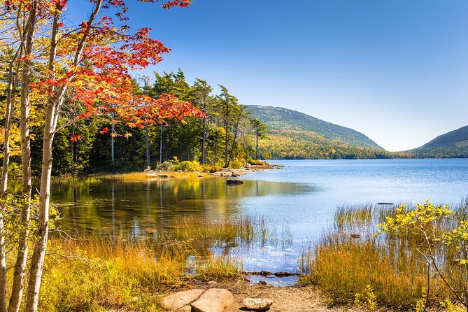 Historic Bar Harbor Self-Guided Walking Audio Tour Guide - The historic library and Abbe Museum: from 250 books to 12,000 years
