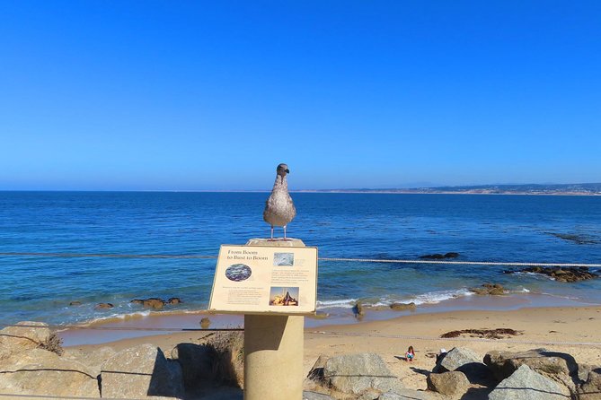 Historic Cannery Row: A Self-Guided Audio Tour of John Steinbeck's Monterey - Doc Rickett’s Pacific Biological Laboratories and the Ed Rickett Connection