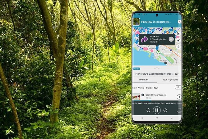 Honolulu Rainforest Self-Guided Audio Tour - How the Honolulu rainforest audio tour works in your car
