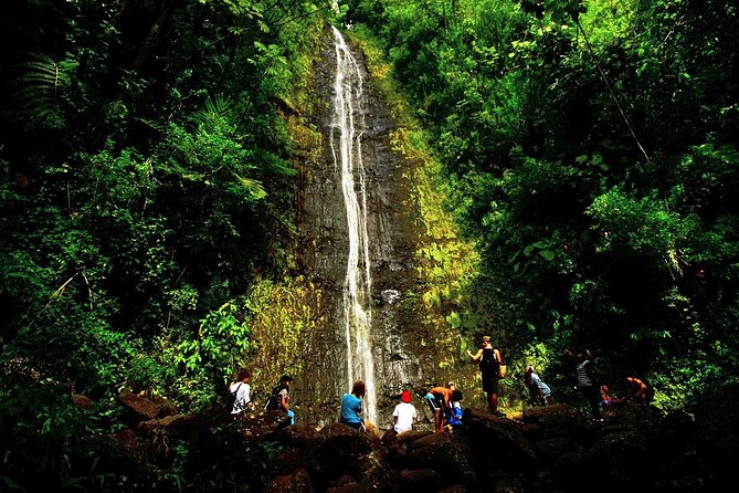 Honolulu Rainforest Self-Guided Audio Tour - The common snag to avoid: finding the start in Waikiki