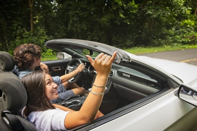 Honolulu Rainforest Self-Guided Audio Tour - Is this for you? Best fit for different travelers
