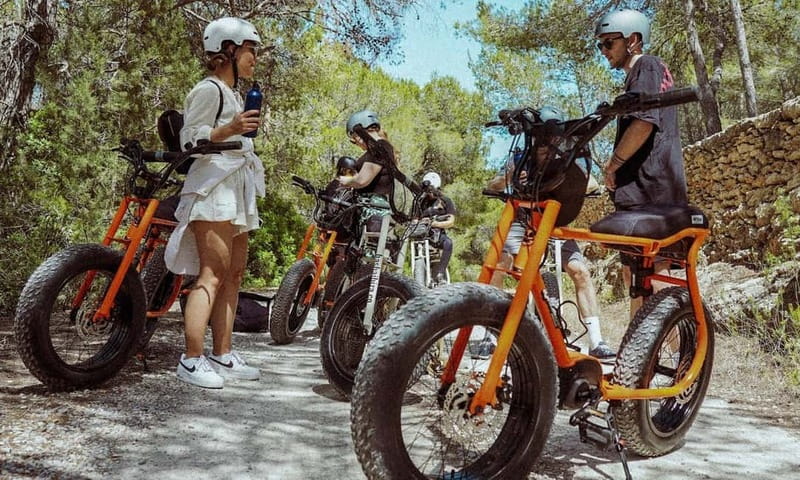 Ibiza: E-Bike self-guided rental adventure - Las Dalias de Ibiza: arts and market time (and why your day matters)