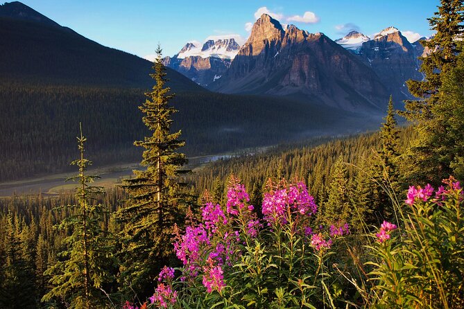 Icefields Parkway Self-Guided Driving Audio Tour - Toward Banff: Lakes, Canyons, and Historic Crossings