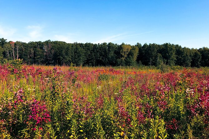 Indiana Dunes National Park Self-Guided Audio Tour - Central Beach to West Beach: how to pick the right shoreline stop