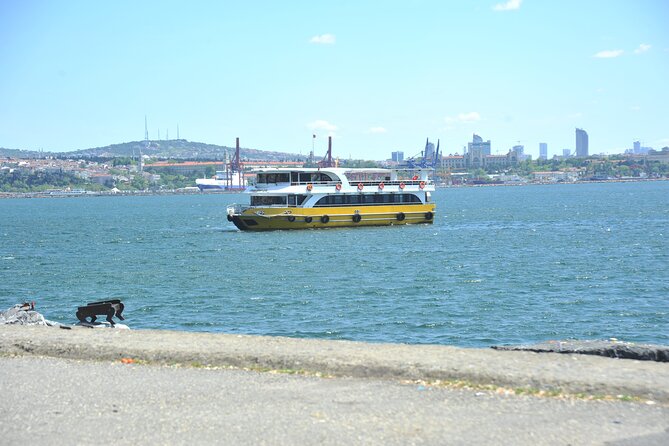 Istanbul: Bosphorus and Golden Horn Cruise with Audio Guide - Audio Guide Reality Check: English Is Offered, But Sound Quality Can Vary