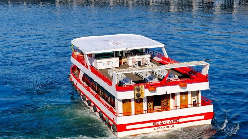 Istanbul: Bosphorus Sightseeing Cruise Tour with Audio Guide - Who This Cruise Is Best For (And Who Should Skip It)