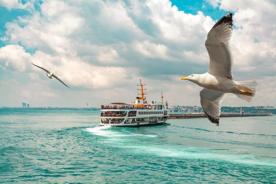 Istanbul: Bosphorus Strait Sightseeing Cruise & Audio Guide - Bosphorus Bridge Photos: Where the River Really Shows Its Muscle