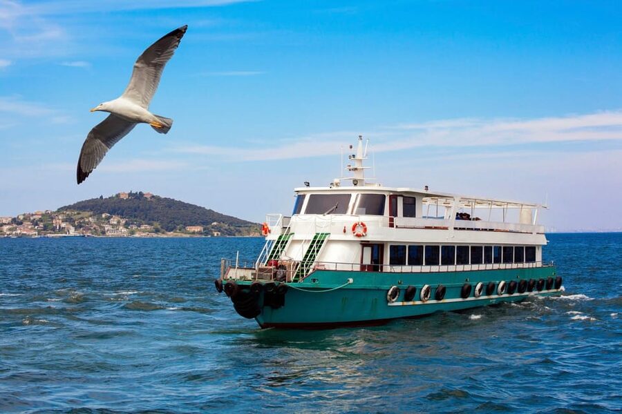 Istanbul: Bosphorus Strait Sightseeing Cruise & Audio Guide - Anadolu Hisarı and Küçüksu Kasrı: Asian Side Character
