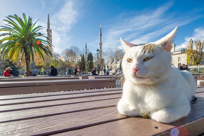 Istanbul Walking Tour with Audioguide on Your Smartphone - Istanbul Archaeological Museum: headline artifacts you’ve heard of