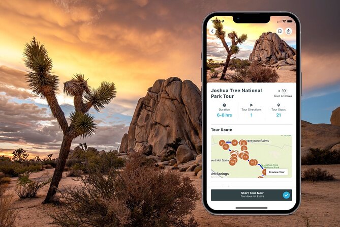 Joshua Tree National Park Self-Guided Audio Tour - Joshua Tree without the constant phone fiddling