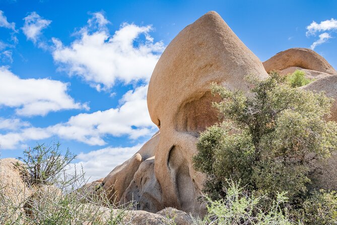 Joshua Tree National Park Self-Guided Audio Tour - Timing it right: how to avoid the “too much too hot” trap