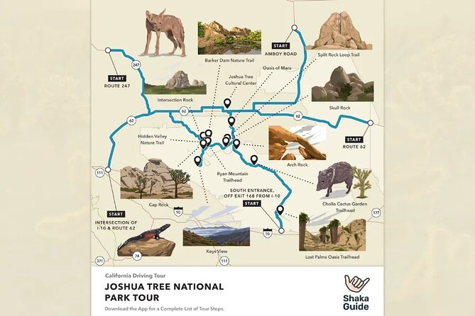 Joshua Tree National Park Self-Guided Audio Tour - Should you book the Joshua Tree self-guided audio tour?
