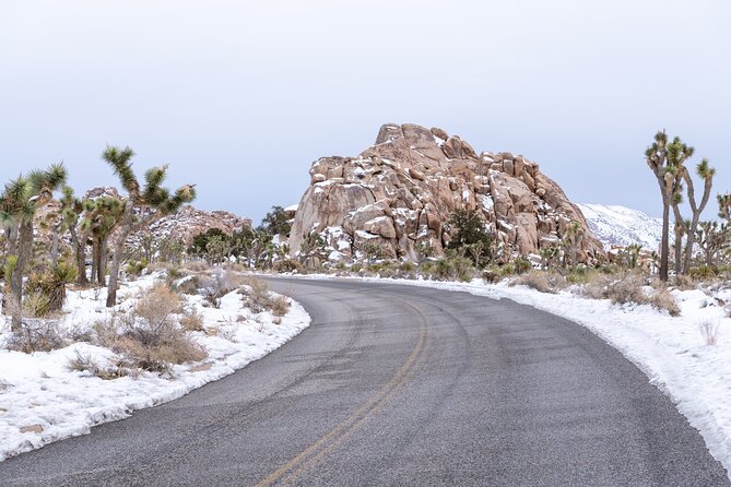 Joshua Tree National Park Self-Guided Driving Audio Tour - The full route reality check: 66 miles, 60+ stories, 3 to 4 hours
