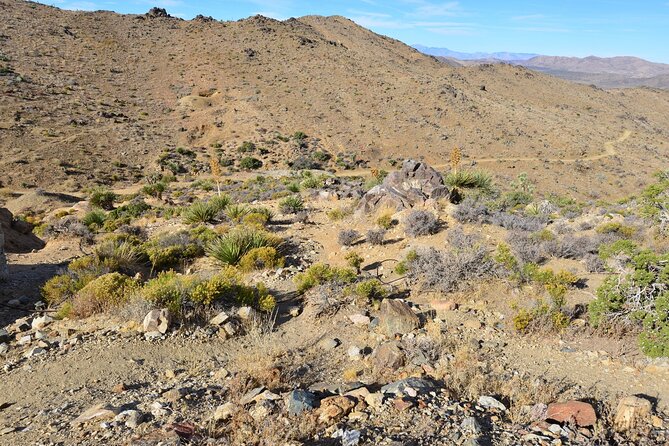 Joshua Tree National Park Self-Guided Driving Audio Tour - Samuelsons Rock: the moderate hike that feels like a secret message