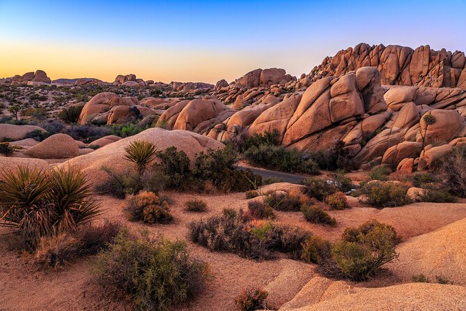 Joshua Tree's Hidden Valley Self-Guided Walking Tour - The start-to-finish experience: how the app guides your feet