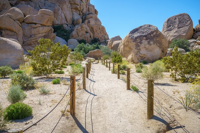 Joshua Tree's Hidden Valley Self-Guided Walking Tour - Who this self-guided Hidden Valley audio tour is for