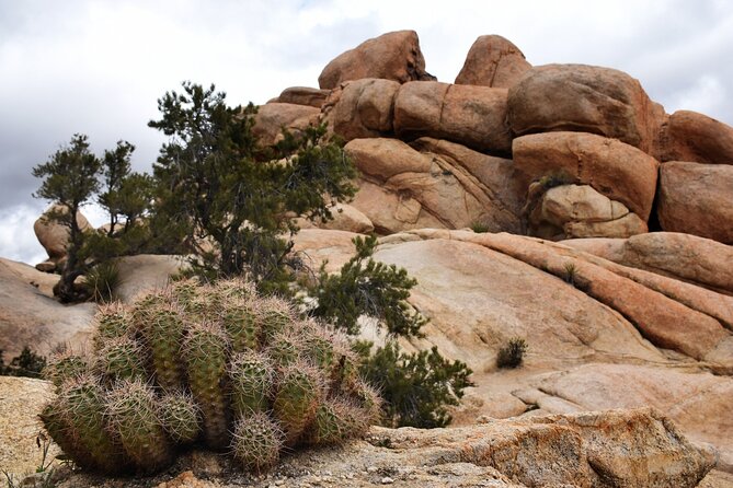 Joshua Tree's Hidden Valley Self-Guided Walking Tour - Walking the 0.92-mile Hidden Valley route in about 1–2 hours