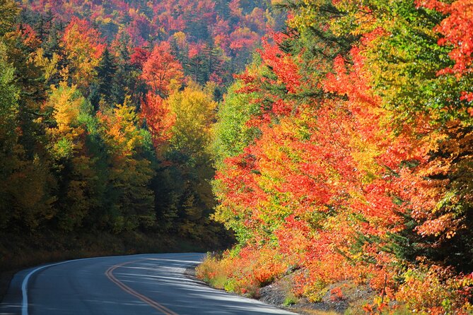 Kancamagus Scenic Byway Self-Guided Audio Driving Tour Guide - Why the Kancamagus Audio Tour Feels Better Than Just Driving