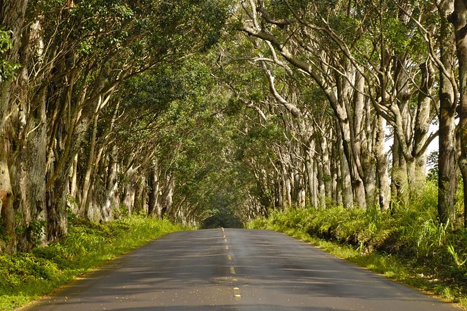 Kauai Poipu and Koloa Town Self-Guided Audio Tour - Logistics that matter: time on the road, parking, and sea conditions