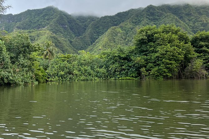 Kayaking Rainforest River on Oahu, Kahana River(Self-Guided Tour) - Key highlights before you paddle