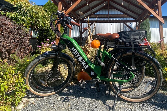 Kelowna E-Bike Bee Tour, Tastings, Organic Lunch & Audio Guide - Alcohol rules: planning around the 19+ honey wine tasting