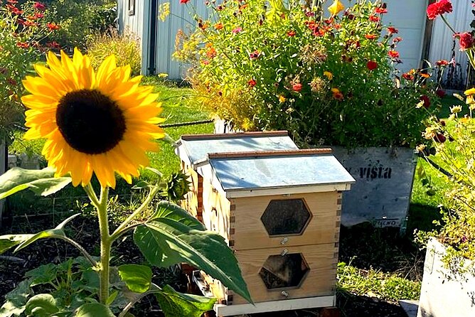 Kelowna E-Bike Bee Tour, Tastings, Organic Lunch & Audio Guide - E-bike details that affect your comfort (more than you think)