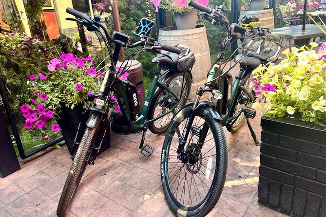 Kelowna E-Bike Bee Tour, Tastings, Organic Lunch & Audio Guide - Price and value: what you’re really paying for at $98.21