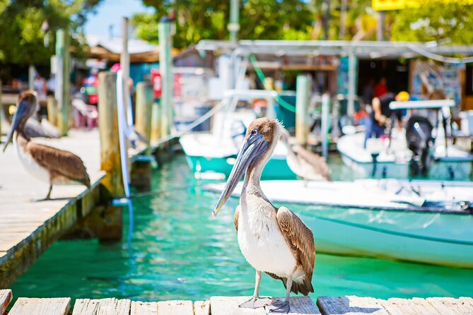 Key West and Overseas Highway Self-Guided Audio Tour - Key Largo to the Reef: Pennekamp and the African Queen