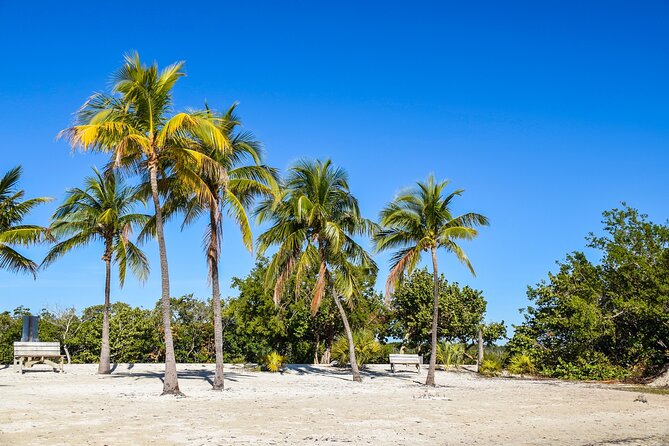 Key West and Overseas Highway Self-Guided Audio Tour - Turtle Hospital, Bahia Honda, and Key Deer: End with Meaning