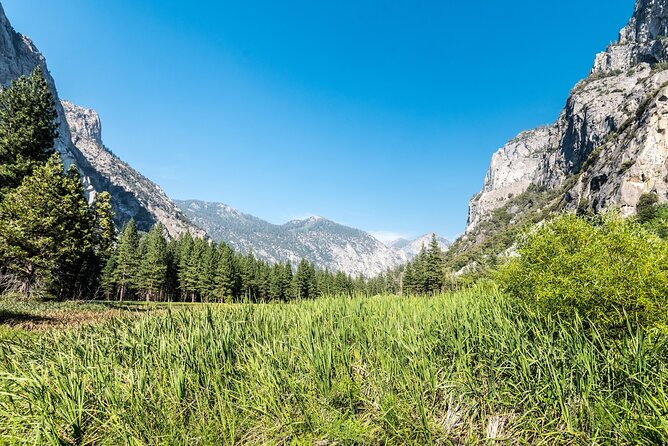 Kings Canyon National Park Self-Guided Audio Tour - What you’ll learn along the way (beyond facts on a screen)