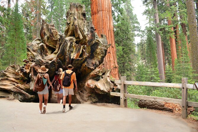 Kings Canyon National Park Self-Guided Audio Tour - Your day in Kings Canyon: the 17 stops, what to expect, and how to pace it