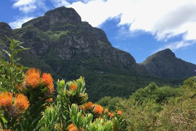 Kirstenbosch National Botanical Gardens: A Self-guided Audio Tour - Entering Kirstenbosch’s lower slopes the easy way