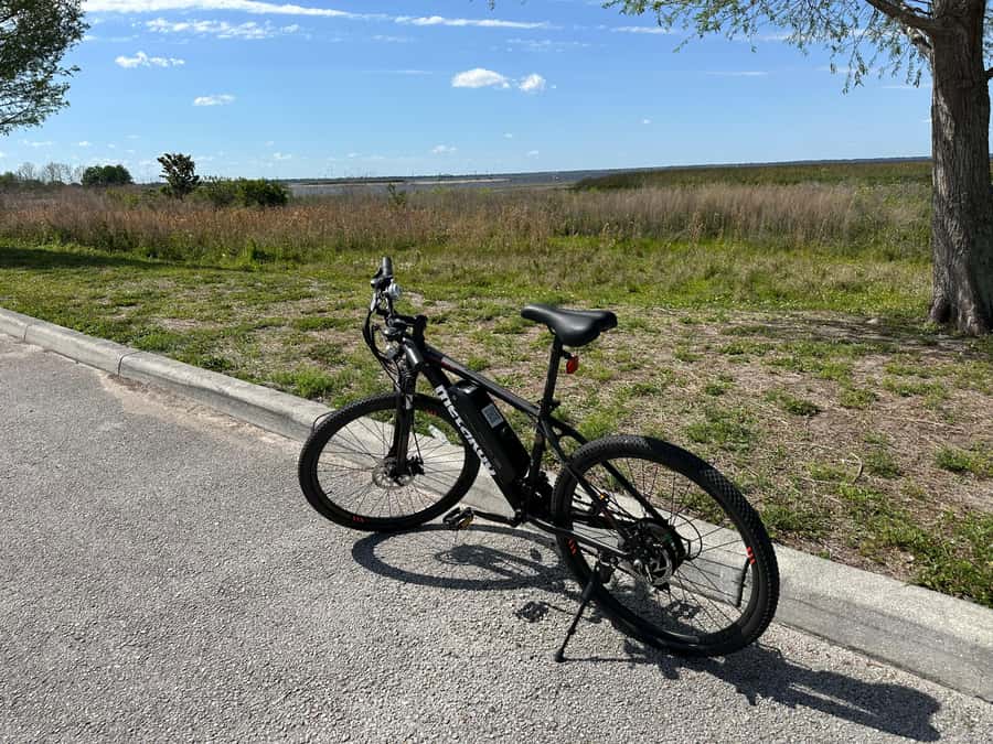 Kissimmee: Self-Guided Lakefront Tour on All Electric Bike - Who should book this electric lakefront tour?