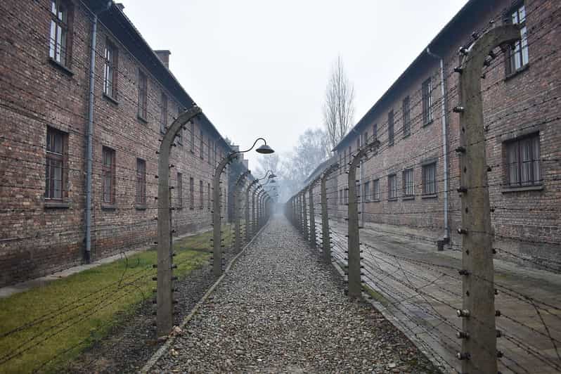Krakow: Auschwitz-Birkenau Guided Tour or Self-Guided Tour - Key things to know before you go