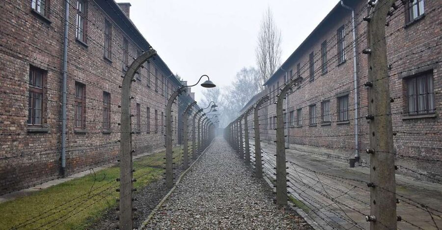 Krakow: Auschwitz-Birkenau Guided Tour or Self-Guided Tour - What to Bring: ID, Phone, and Bag Size