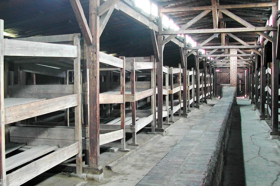 Krakow: Auschwitz-Birkenau Guided Tour or Self-Guided Tour - The Transfer Moment: 15 Minutes Between Auschwitz I and Birkenau