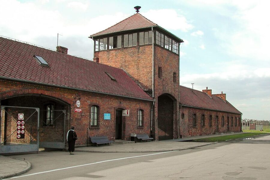Krakow: Auschwitz-Birkenau Guided Tour or Self-Guided Tour - Guided Tour vs Self-Guided: The Real Trade-Off