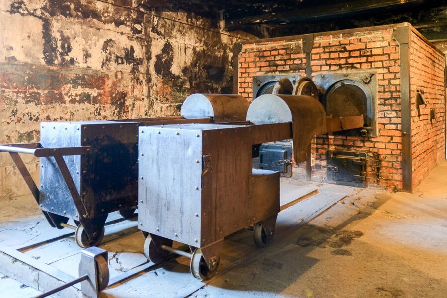 Krakow: Auschwitz-Birkenau Guided Tour or Self-Guided Tour - Timing, Queues, and Why You Should Plan for Standing