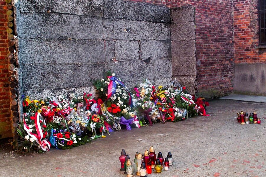 Krakow: Auschwitz-Birkenau Guided Tour or Self-Guided Tour - What’s Included, What’s Not, and How to Budget Your Day