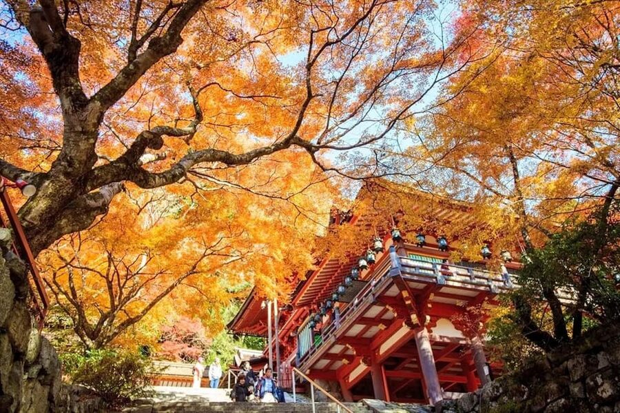 Kyoto/Osaka: Nara Customizable Self-Guided Tour with Driver - Stop-by-stop: what to expect at each Nara highlight
