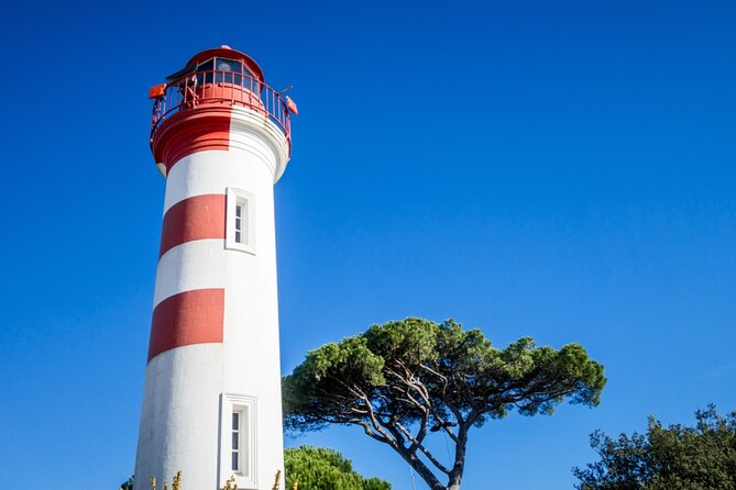 La Rochelle Port Quest: Self-Guided Walking Adventure - Fontaine du Pilori: A Small Square With a Big Story
