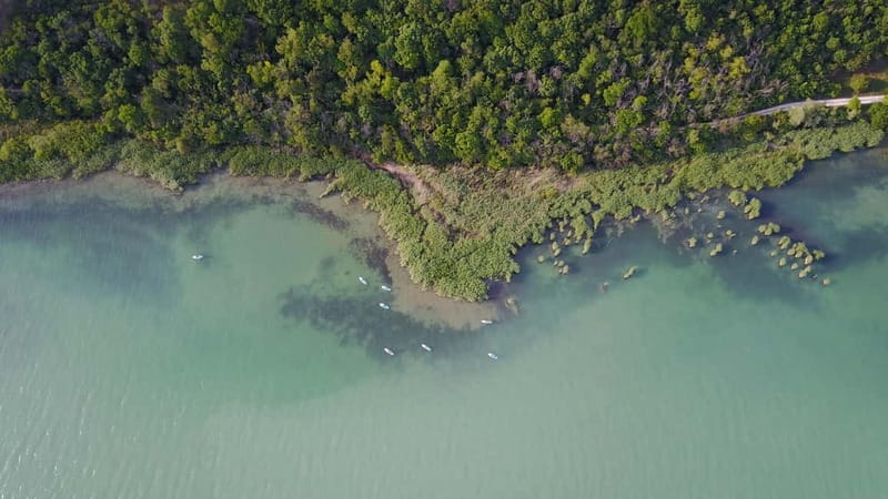 Lake Balaton 3 hour SUP tour - self-guided - What to Bring (And What to Skip)