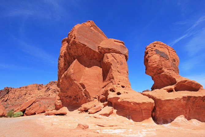 Lake Mead & Valley of Fire State Park Self-Guided Audio Tour - Birding Tips That Fit a Road Trip Pace