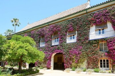 "Las Dueñas" Palace ticket + Audioguide - What the $18.57 Ticket Buys You (and Why It’s Fair)
